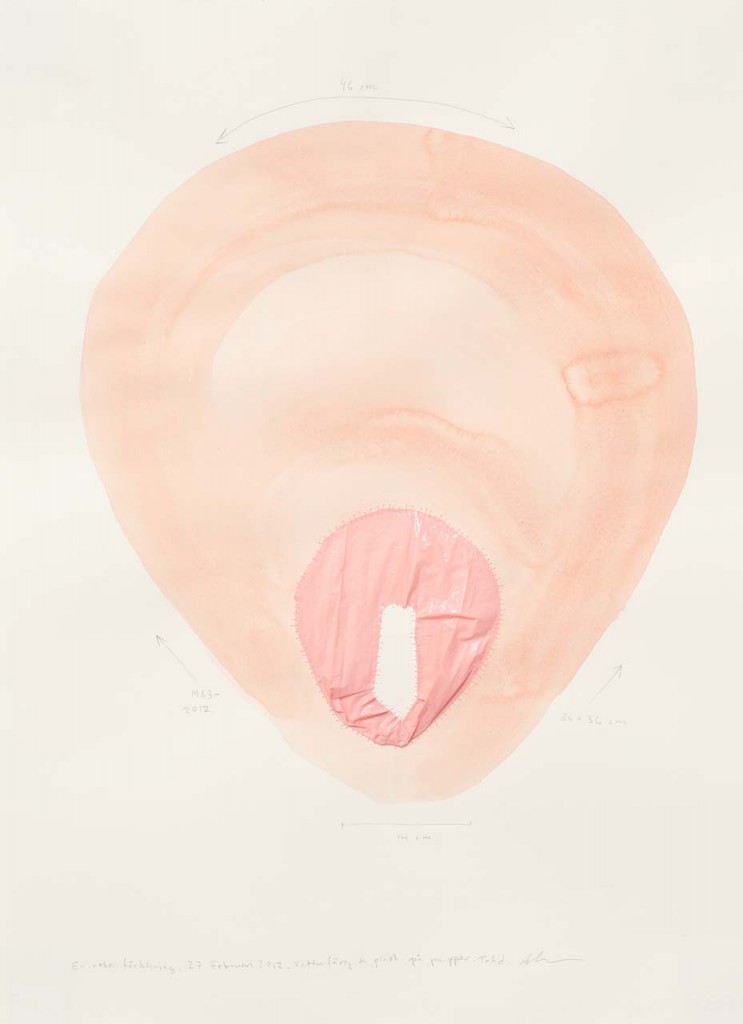 "En rosa förklaring/ Pink explanation", plastic and watercolor on paper, 52x72 cm/22x30 inch, 2012